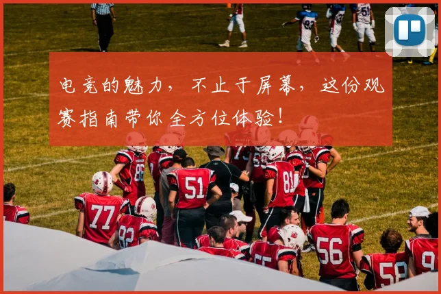 电竞的魅力，不止于屏幕，这份观赛指南带你全方位体验！