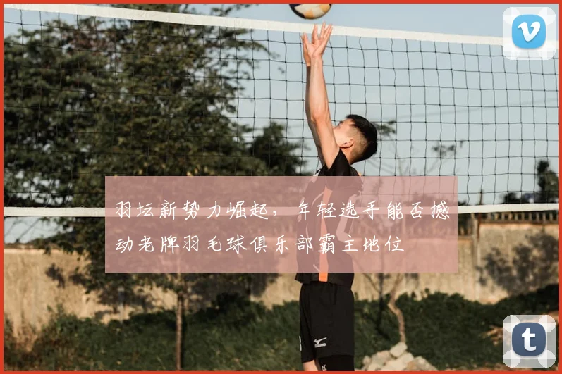 羽坛新势力崛起，年轻选手能否撼动老牌羽毛球俱乐部霸主地位