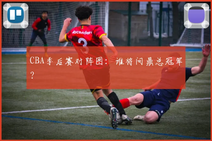 CBA季后赛对阵图：谁将问鼎总冠军？