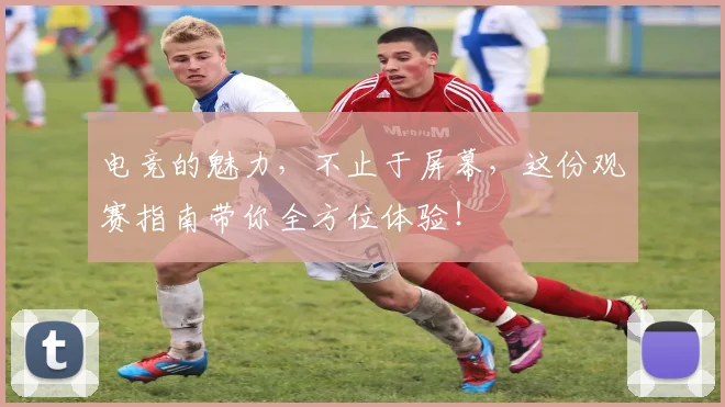 电竞的魅力，不止于屏幕，这份观赛指南带你全方位体验！