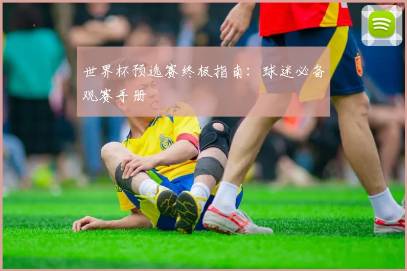 世界杯预选赛终极指南：球迷必备观赛手册