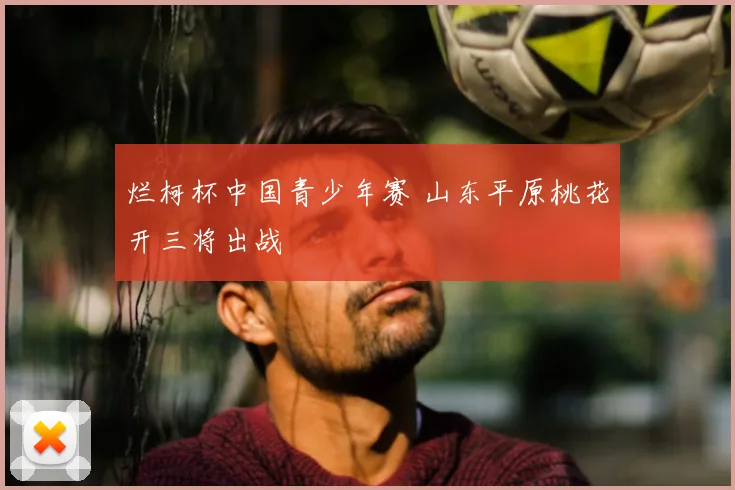 烂柯杯中国青少年赛 山东平原桃花开三将出战