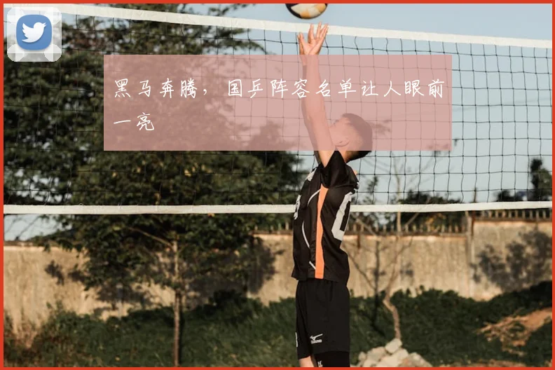 黑马奔腾，国乒阵容名单让人眼前一亮