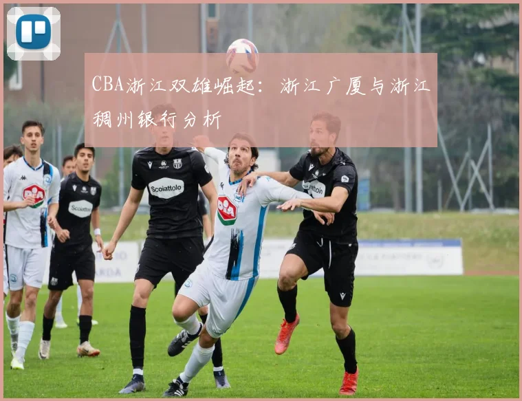 CBA浙江双雄崛起：浙江广厦与浙江稠州银行分析