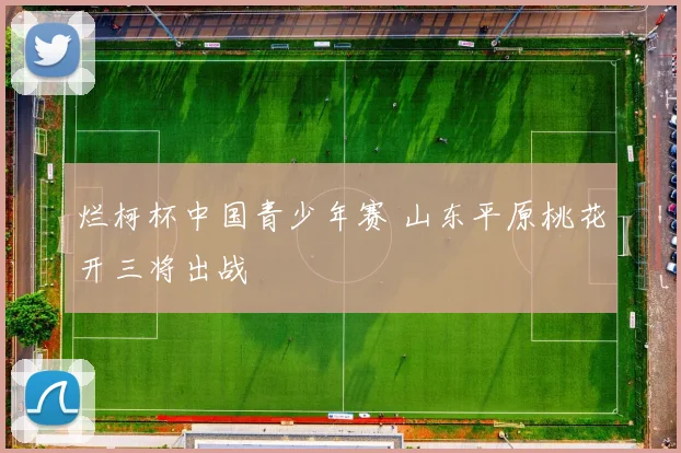 烂柯杯中国青少年赛 山东平原桃花开三将出战
