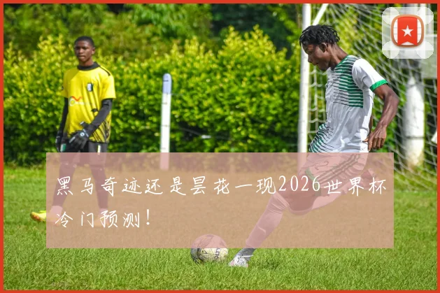 黑马奇迹还是昙花一现2026世界杯冷门预测！